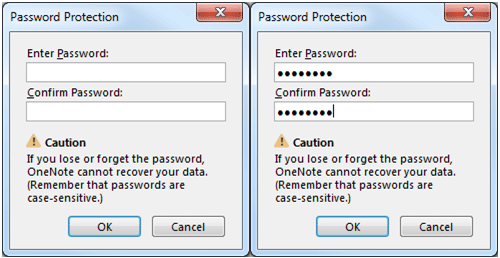 Set Password Window